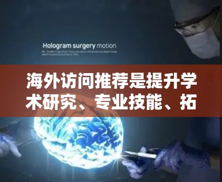 海外访问推荐是提升学术研究、专业技能、拓展视野以及建立联系的重要活动。以下是一些通用的海外访问推荐，供您参考