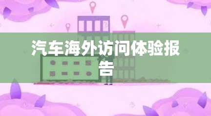 汽车海外访问体验报告