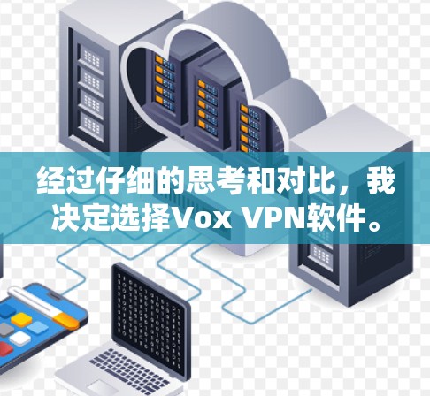 经过仔细的思考和对比，我决定选择Vox VPN软件。以下是详细的决策过程
