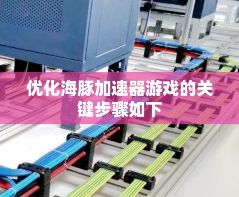 优化海豚加速器游戏的关键步骤如下 优化海豚加速器游戏的关键步骤如下