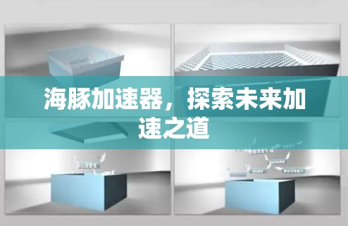 海豚加速器,探索未来加速之道 海豚加速器,探索未来加速之道