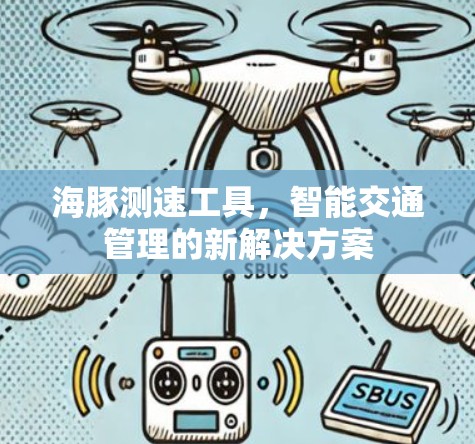 海豚测速工具，智能交通管理的新解决方案