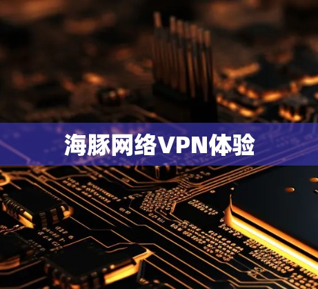 海豚网络VPN体验 海豚网络VPN体验