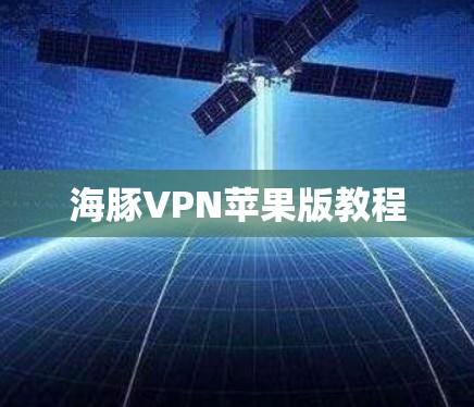海豚VPN苹果版教程