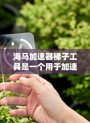 海马加速器梯子工具是一个用于加速特定设备或系统并进行数据处理和安全防护的设备工具。它通常配备梯子式的结构，方便用户操作加速和处理功能。以下是详细的使用步骤指南