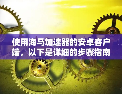 使用海马加速器的安卓客户端，以下是详细的步骤指南