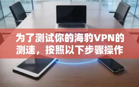 为了测试你的海豹VPN的测速，按照以下步骤操作