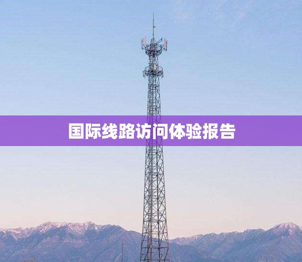 国际线路访问体验报告