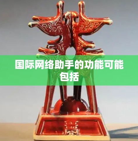 国际网络助手的功能可能包括
