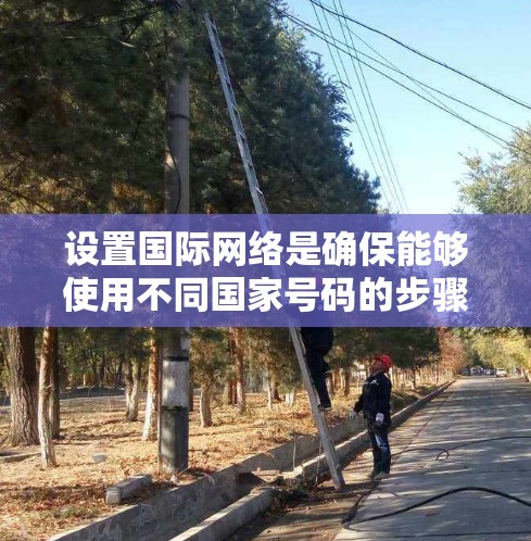 设置国际网络是确保能够使用不同国家号码的步骤。以下是一个清晰的指南,帮助您顺利进行国际网络的设置 设置国际网络是确保能够使用不同国家号码的步骤。以下是一个清晰的指南,帮助您顺利进行国际网络的设置