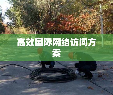 高效国际网络访问方案 高效国际网络访问方案