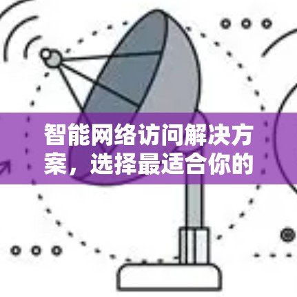 智能网络访问解决方案,选择最适合你的工具 智能网络访问解决方案,选择最适合你的工具