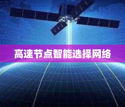 高速节点智能选择网络 高速节点智能选择网络
