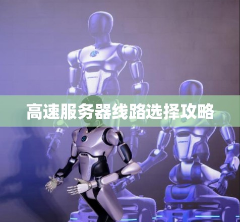 高速服务器线路选择攻略 高速服务器线路选择攻略