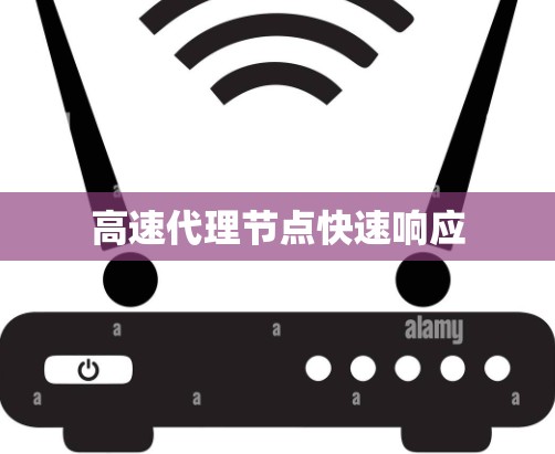 高速代理节点快速响应 高速代理节点快速响应