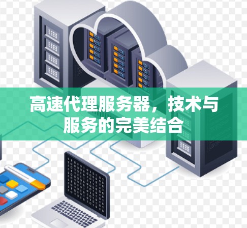 高速代理服务器,技术与服务的完美结合