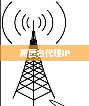 高匿名代理IP 高匿名代理IP
