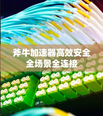 斧牛加速器高效安全全场景全连接 斧牛加速器高效安全全场景全连接