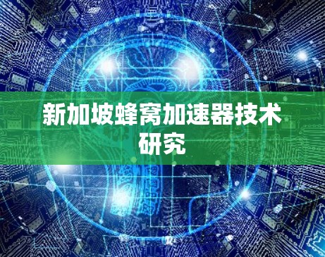 新加坡蜂窝加速器技术研究