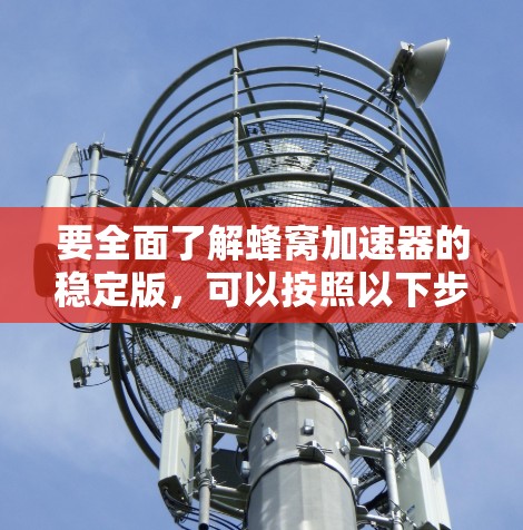 要全面了解蜂窝加速器的稳定版，可以按照以下步骤进行