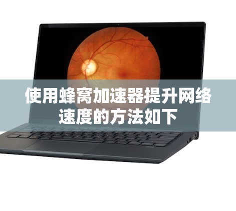 使用蜂窝加速器提升网络速度的方法如下 使用蜂窝加速器提升网络速度的方法如下