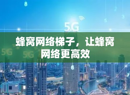 蜂窝网络梯子，让蜂窝网络更高效