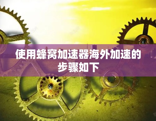 使用蜂窝加速器海外加速的步骤如下