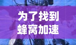 为了找到蜂窝加速器的官网，可以按照以下步骤进行系统性排查