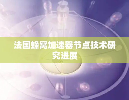 法国蜂窝加速器节点技术研究进展