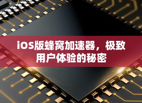 iOS版蜂窝加速器，极致用户体验的秘密