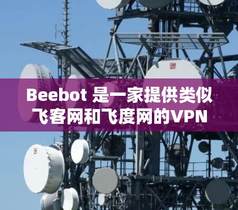 Beebot 是一家提供类似飞客网和飞度网的VPN服务的企业，专注于提供安全可靠的VPN解决方案。如果你在寻找新加坡地区的VPN服务，Beebot 提供了一系列新加坡节点，其中包括著名的蜂窝系列