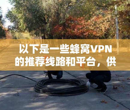 以下是一些蜂窝VPN的推荐线路和平台，供您参考