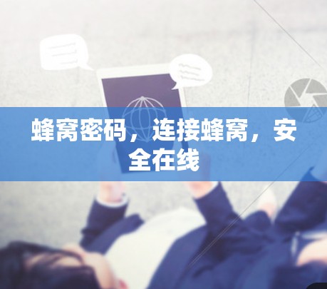 蜂窝密码，连接蜂窝，安全在线