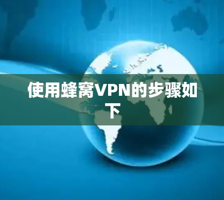 使用蜂窝VPN的步骤如下
