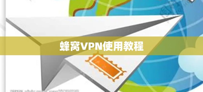 蜂窝VPN使用教程 蜂窝VPN使用教程