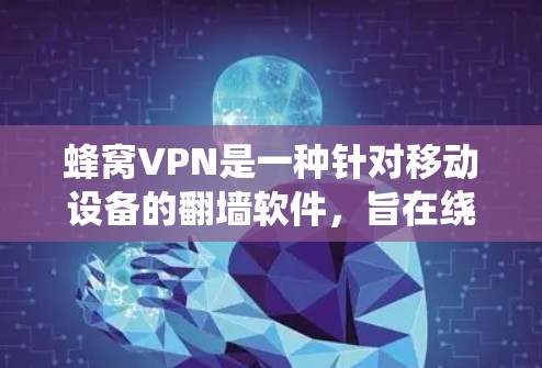 蜂窝VPN是一种针对移动设备的翻墙软件，旨在绕过路由器或防火墙，让用户访问互联网和使用流量。以下是对蜂窝VPN的详细分析