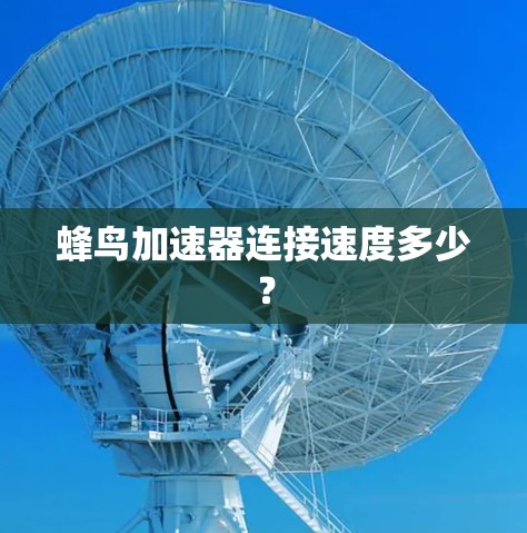 蜂鸟加速器连接速度多少？