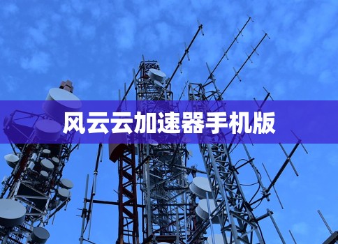 风云云加速器手机版