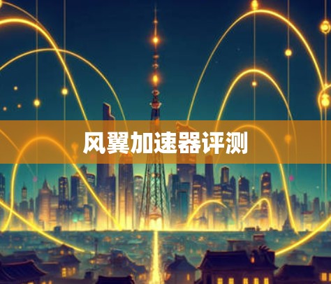 风翼加速器评测 风翼加速器评测