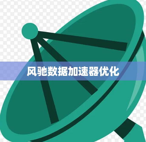 风驰数据加速器优化 风驰数据加速器优化