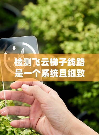 检测飞云梯子线路是一个系统且细致的过程，确保线路的稳定性和安全性。以下是逐步的检查流程