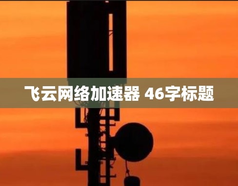 飞云网络加速器 46字标题
