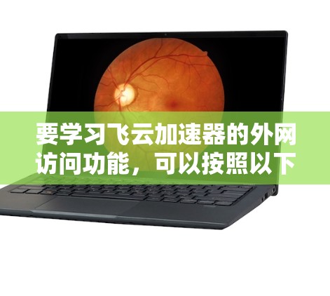 要学习飞云加速器的外网访问功能，可以按照以下步骤进行
