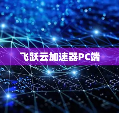 飞跃云加速器PC端