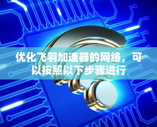 优化飞羽加速器的网络，可以按照以下步骤进行