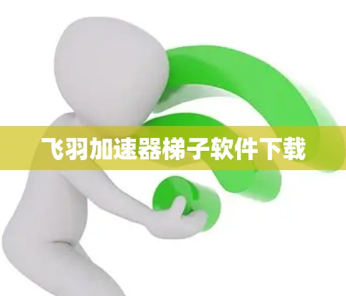 飞羽加速器梯子软件下载