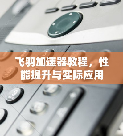 飞羽加速器教程，性能提升与实际应用