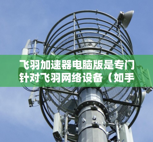 飞羽加速器电脑版是专门针对飞羽网络设备（如手机、电脑上的飞羽设备）进行加速和优化的网络工具。它通过结合飞羽网络和加速技术，提供了一个更高效、更稳定的网络连接方式。以下是对该工具的详细介绍