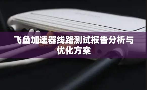 飞鱼加速器线路测试报告分析与优化方案 飞鱼加速器线路测试报告分析与优化方案