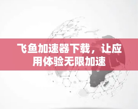 飞鱼加速器下载，让应用体验无限加速